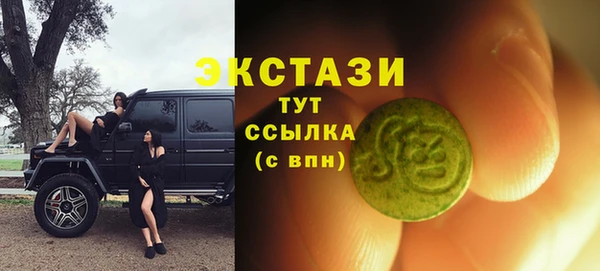 стаф Горняк