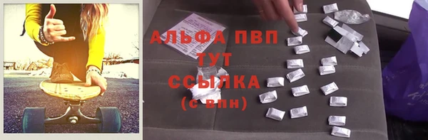 стаф Горняк