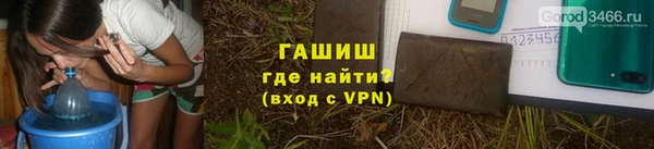 стаф Горняк