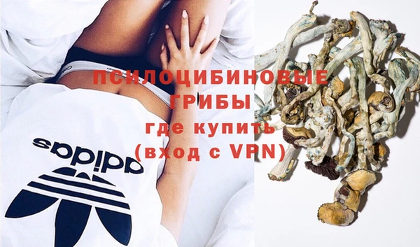 соль ск Горнозаводск