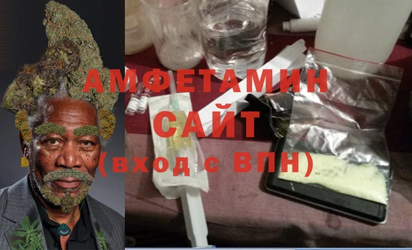 стаф Горняк