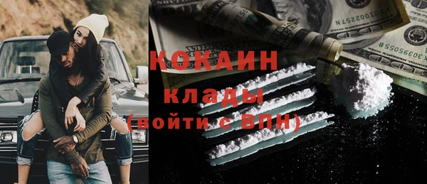 стаф Вяземский