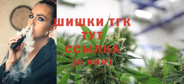 стаф Вяземский