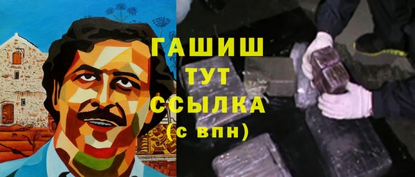 стаф Горняк