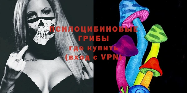соль ск Горнозаводск