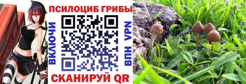 Галлюциногенные грибы Magic Shrooms  Купить  Зея 